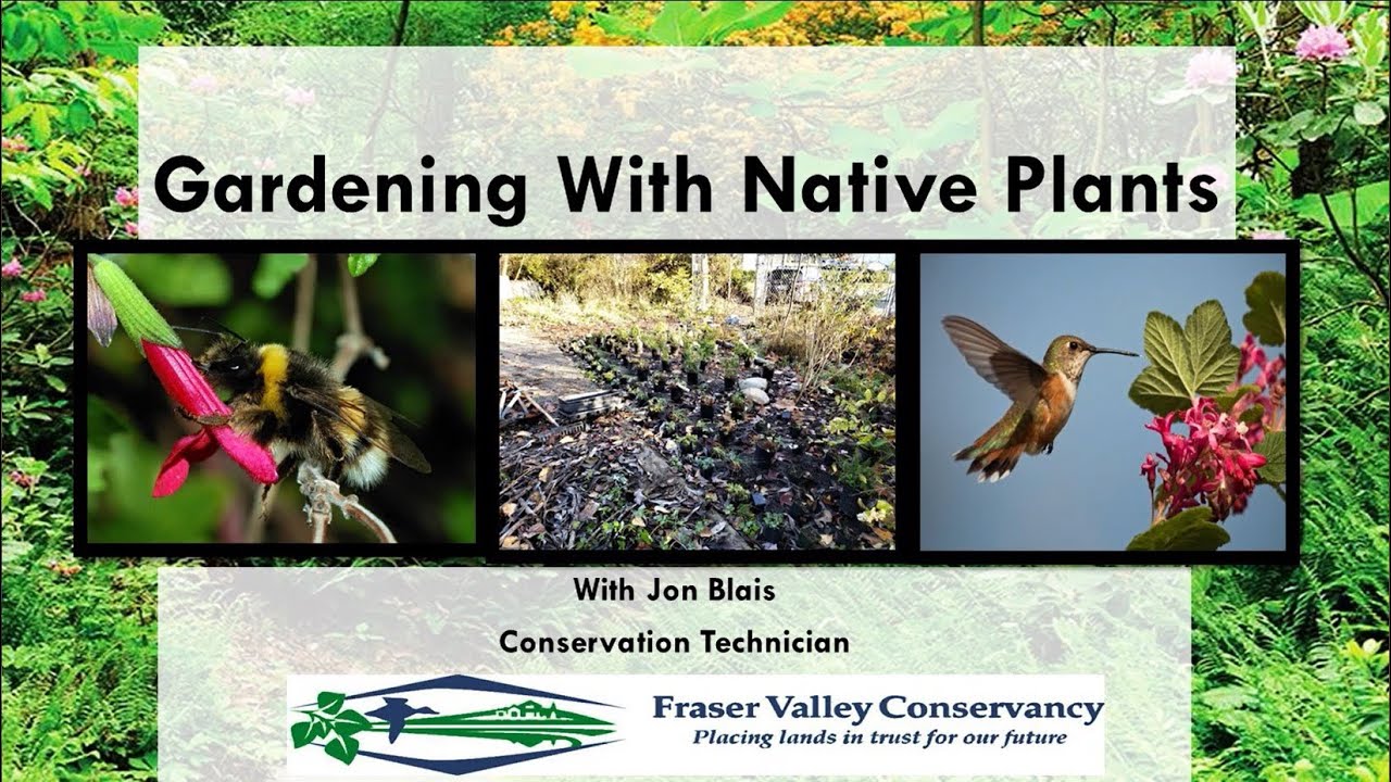 Native Plant Choices for your BC Garden