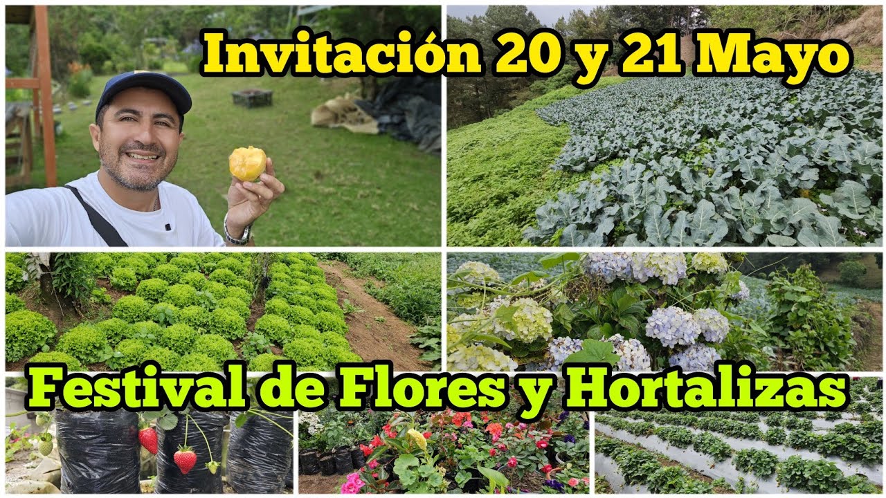 El Salvador Produce Hortalizas en Cantón Río Chiquito, San Ignacio, Chalatenango