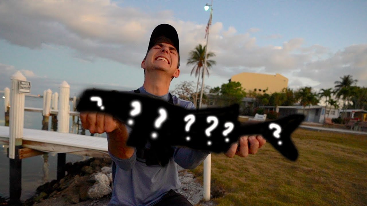 I Lost my MIND!!! (Amazing Topwater Action)