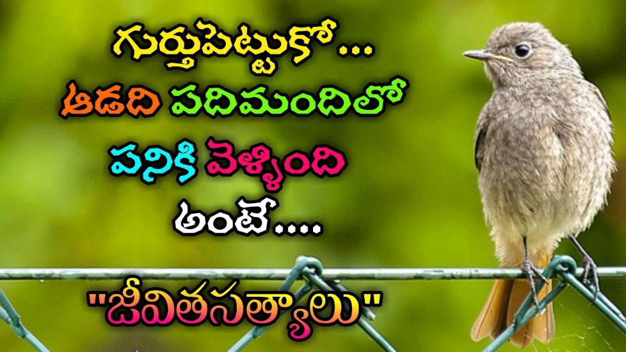 జీవిత సత్యాలు #252 |మంచి మాటలు|Inspirational quotes|Motivational quotes|సూక్తులు|Telugu quotes