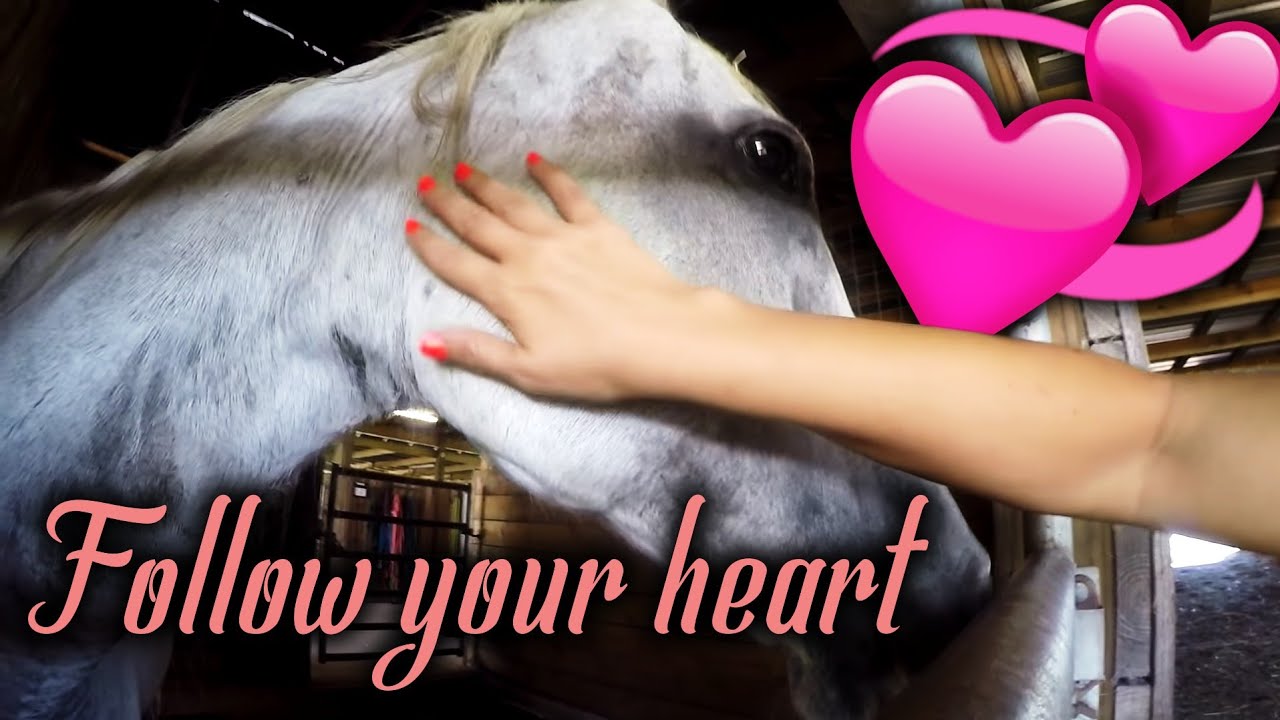 FOLLOW YOUR HEART!