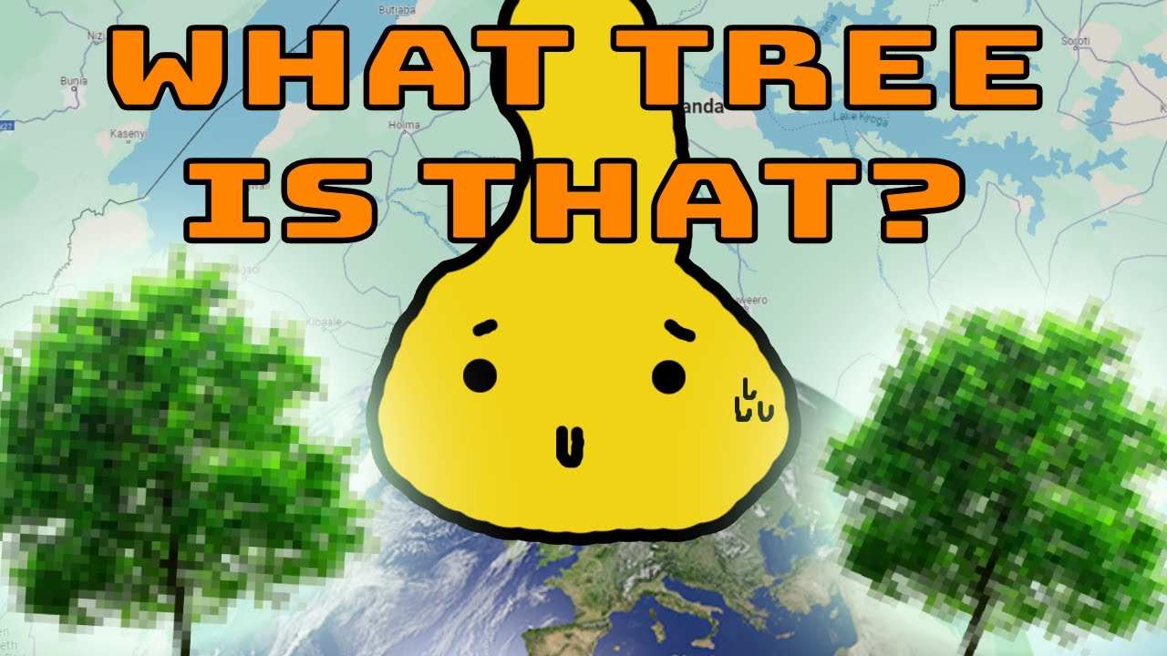 The Plant ID Meta is Here | Geoguessr