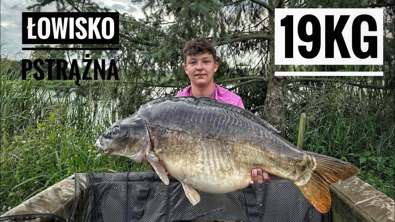 KARPIE I AMURY Z ŁOWISKA PSTRĄŻNA - pb karpia