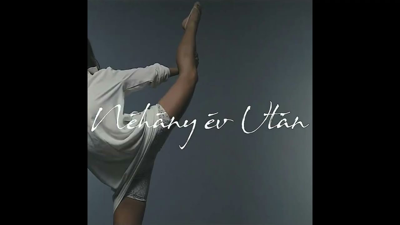 Nyári Kálmán Feat. Curtis - Néhány Év Után ( CucuAI Remix )