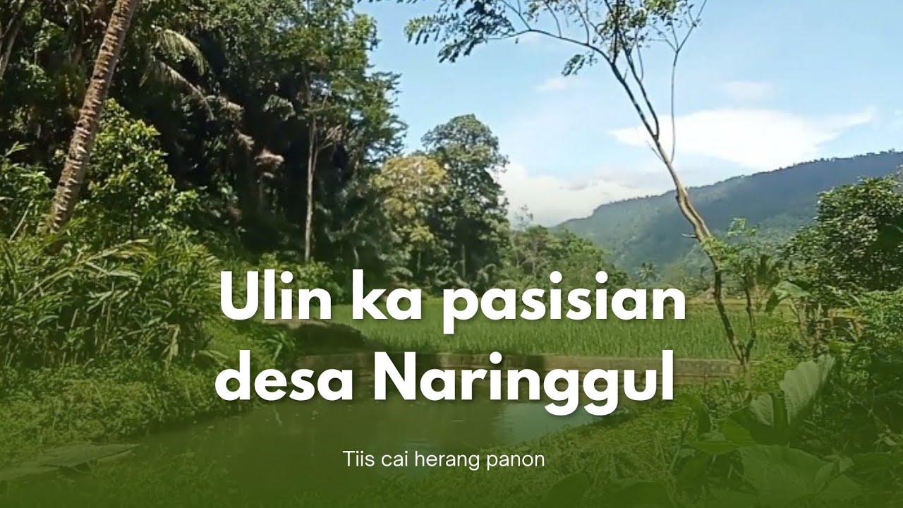 Ulin ka pasisian desa Naringgul