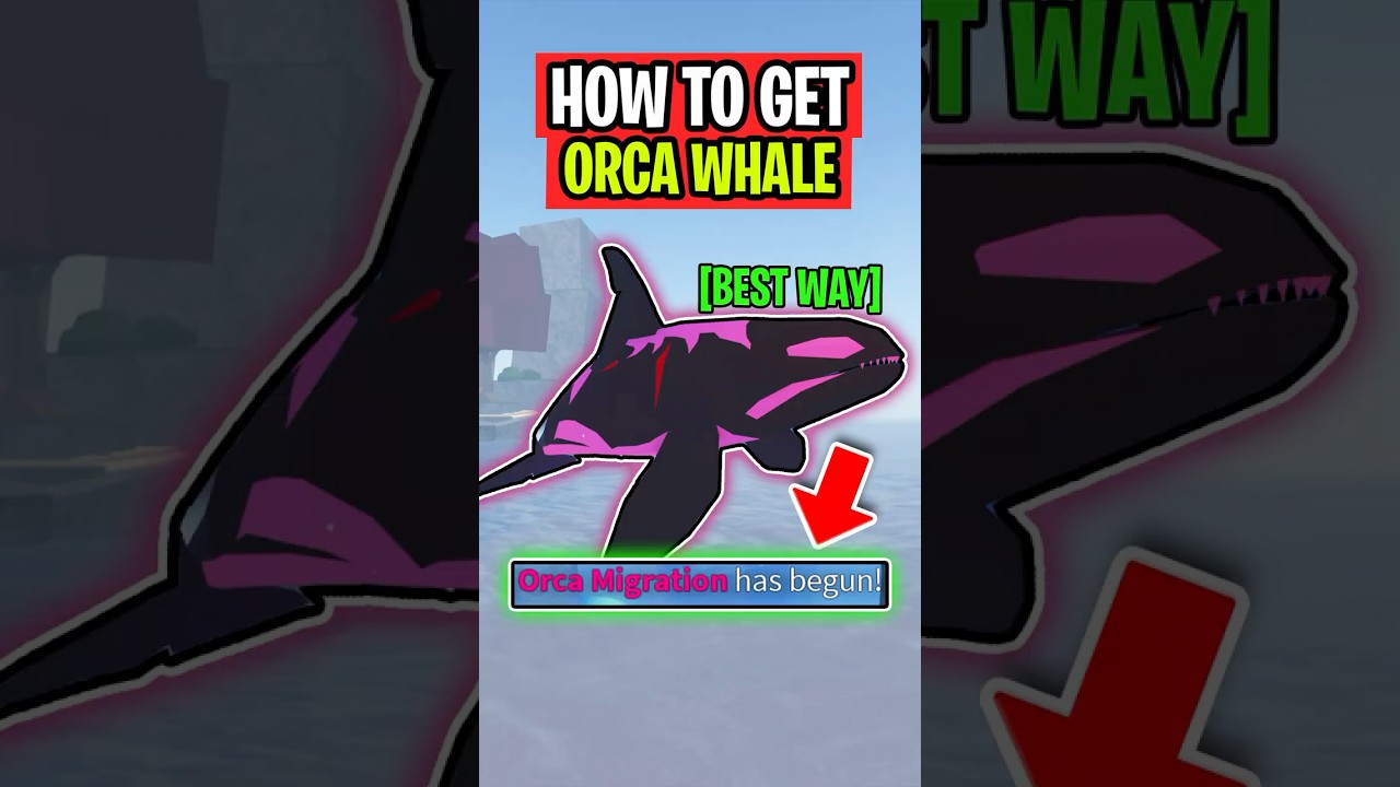 BEST WAY To CATCH ORCA in Fisch