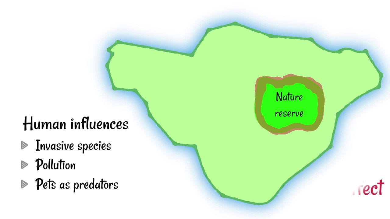 Shape of Nature Reserves
