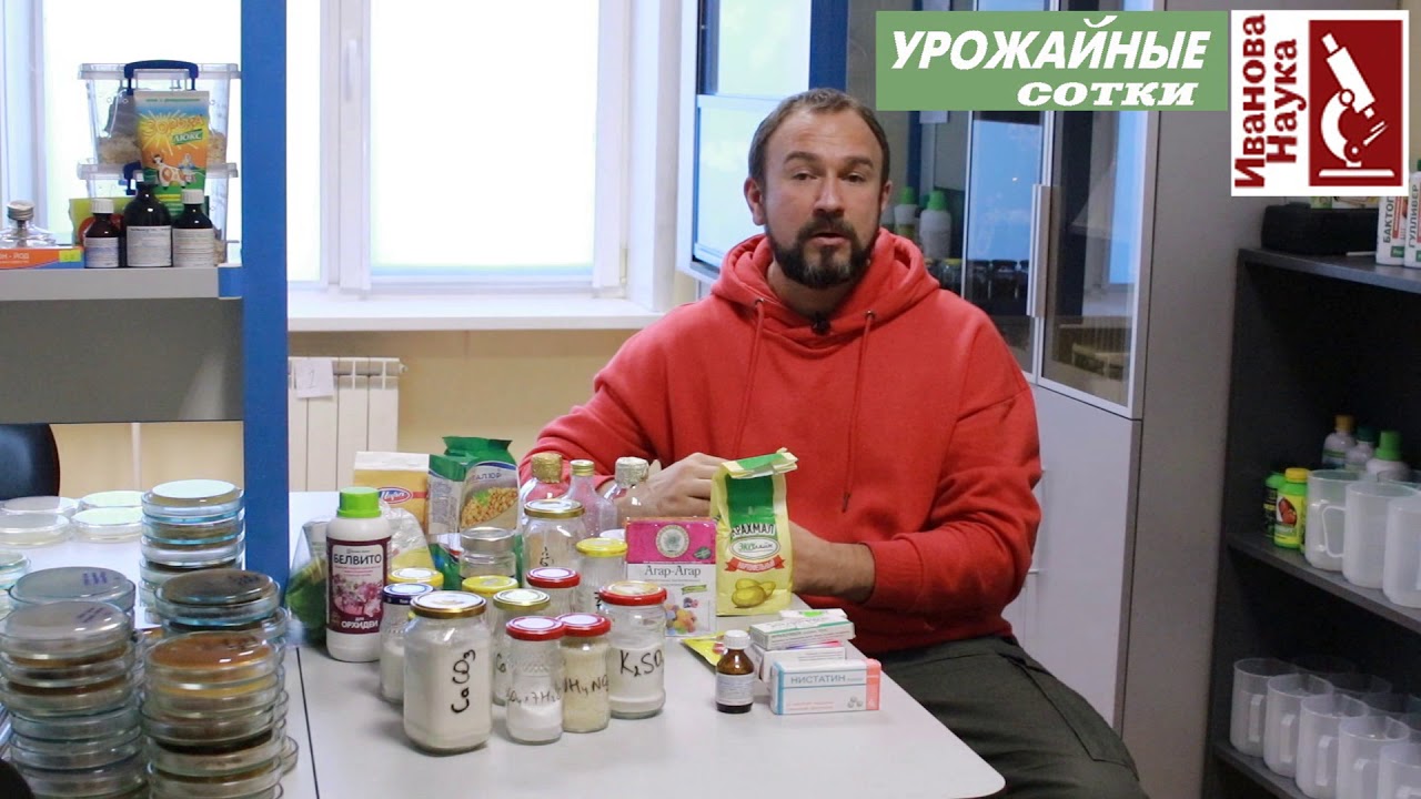 Сеем микробов. Часть 3. Приготовление плотных сред.