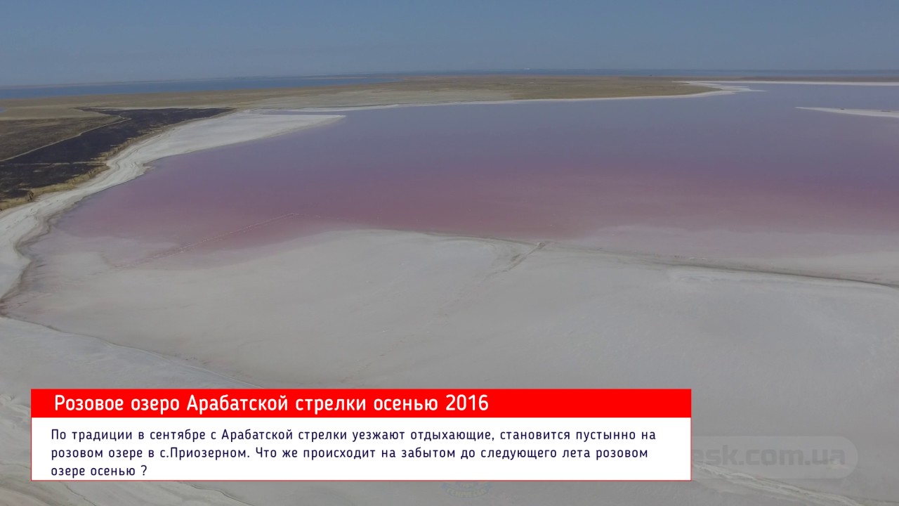 Пожар вокруг розового озера в Сиваше