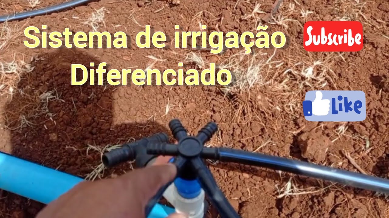 Irrigação economia com o sistema de Aranha