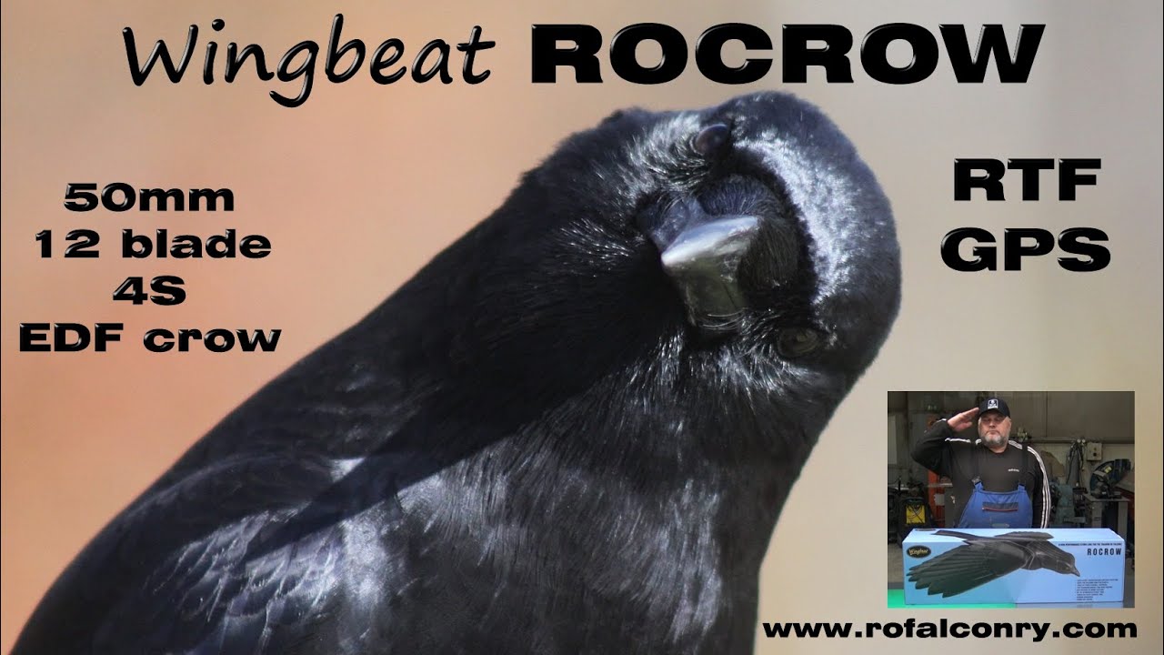 Wingbeat 50mm 10 blade EDF Crow 4S 930mm Rocrow Complete Set + GPS  Unboxing