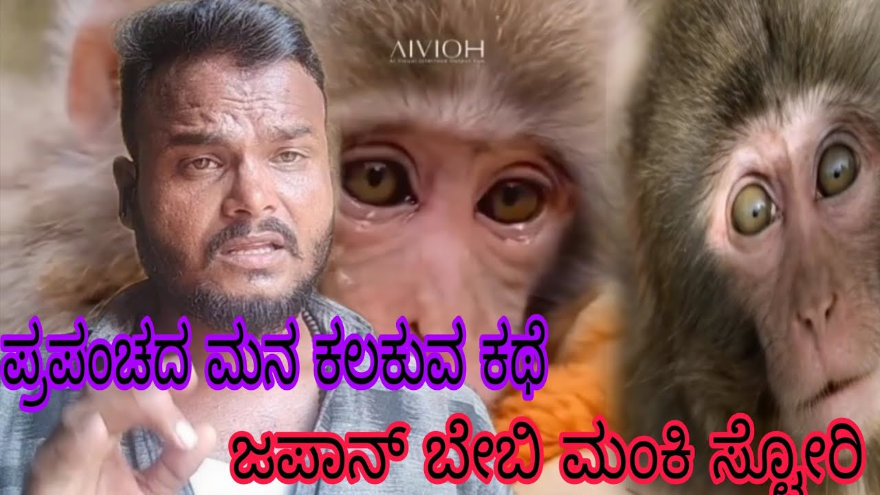 Japan baby monkey stories// Not a mother love // ಪ್ರಪಂಚದ  ಮನ ಕಲಕುವ ಸ್ಟೋರಿ 😂😂