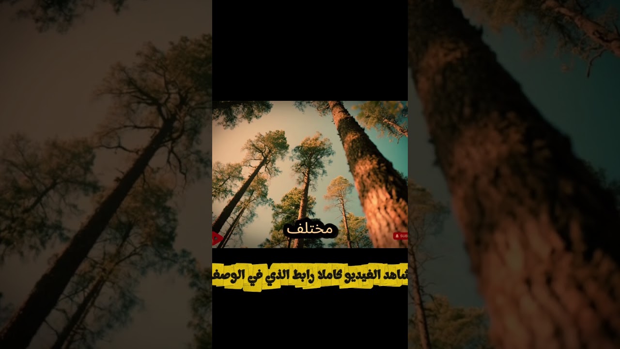 في متى يقرر الرجل أنه لا يستطيع العيش بدونك!