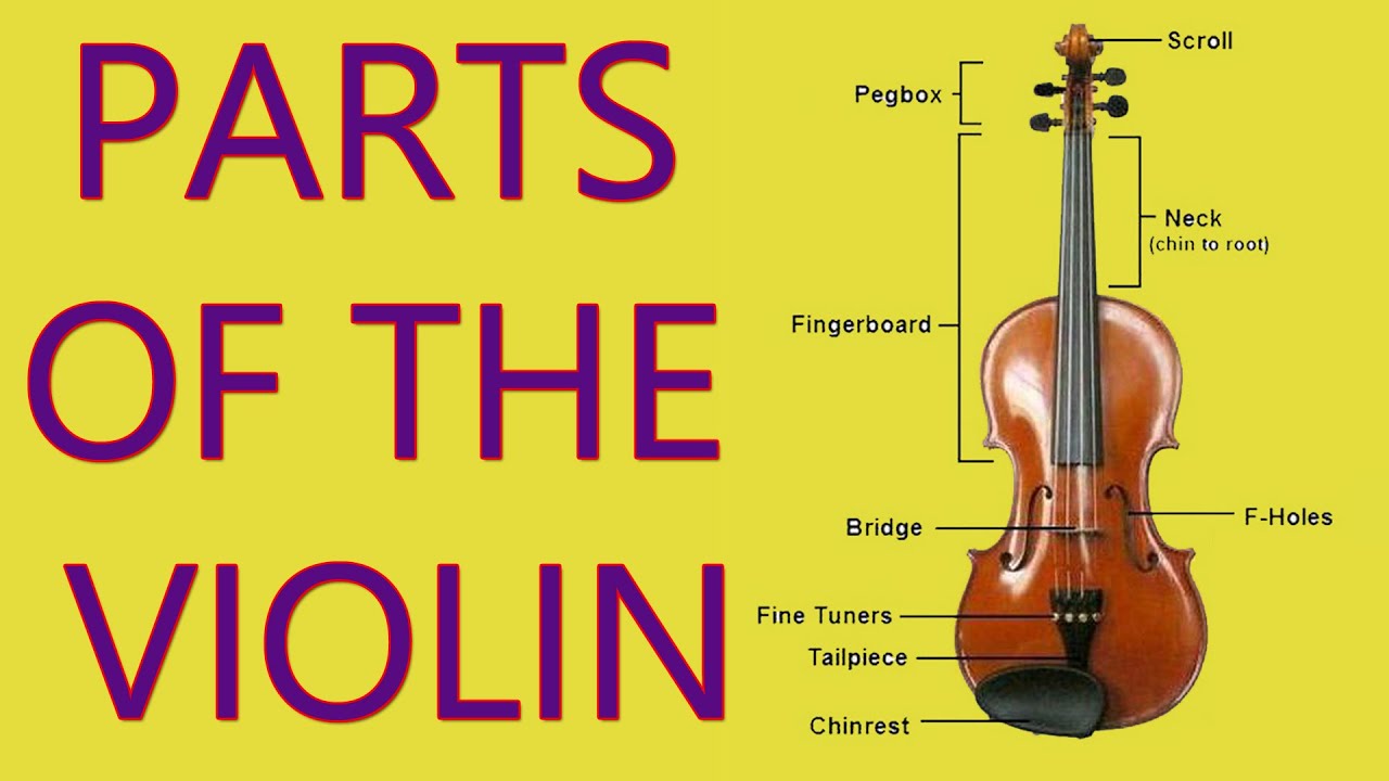 Parts of the Violin and Bow - Carnatic Music Lessons