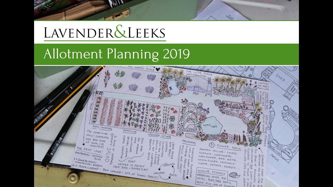 Lavender and Leeks - February 2019 - Allotment Planning 2019
