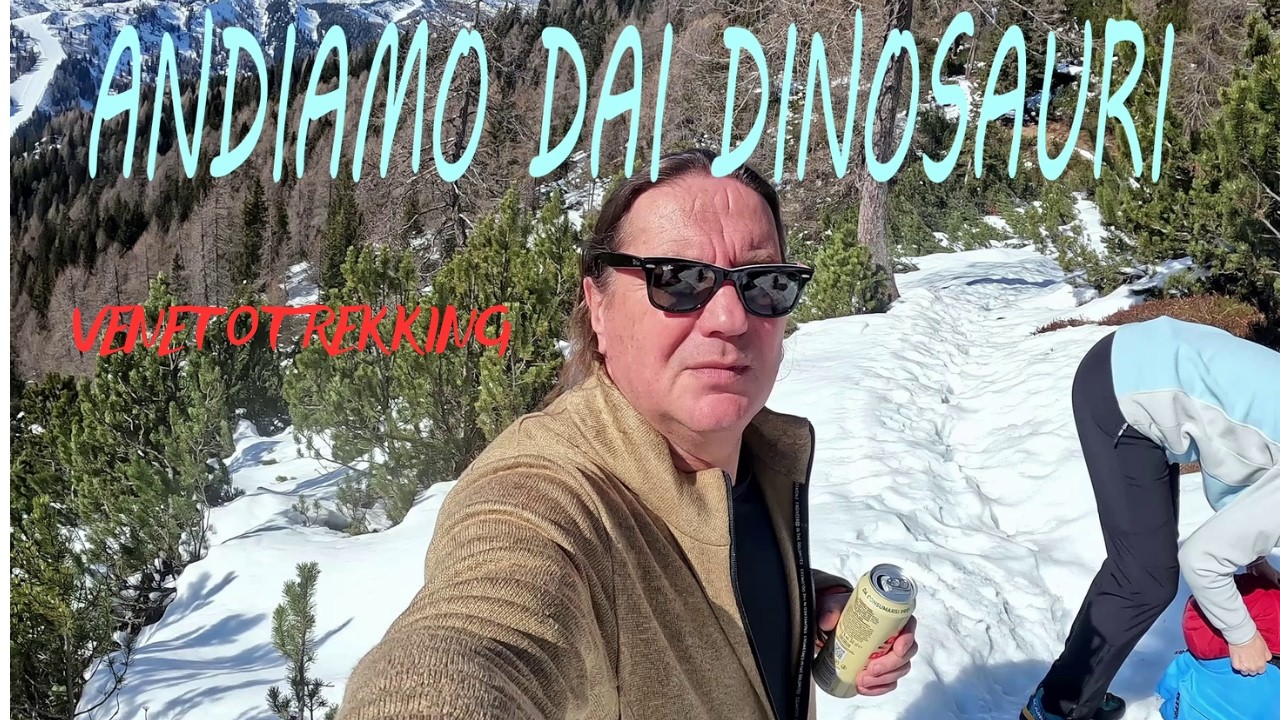 IMPRONTE DI DINOSAURO DOLOMITI VENETE PASSO STAULANZA