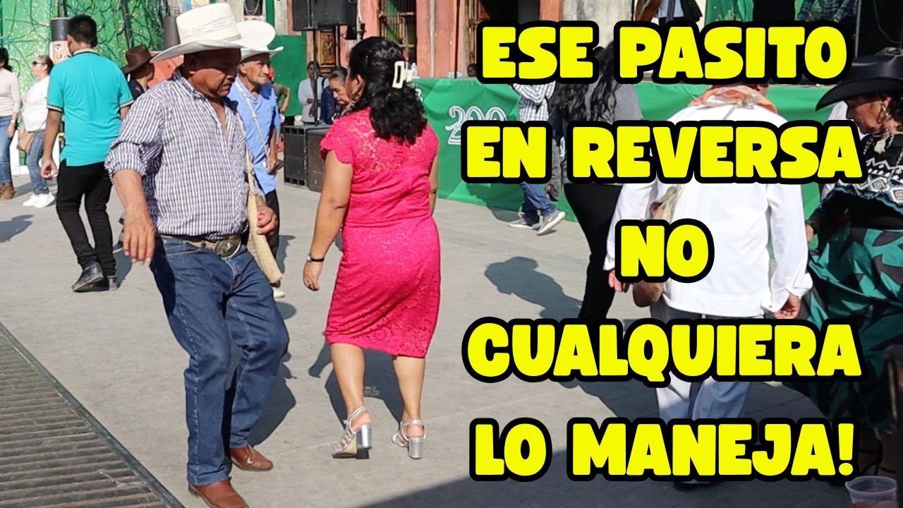 🎻🔥 No tiene fin el ingenio de los bailadores de huapango en Xilitla ⛰️