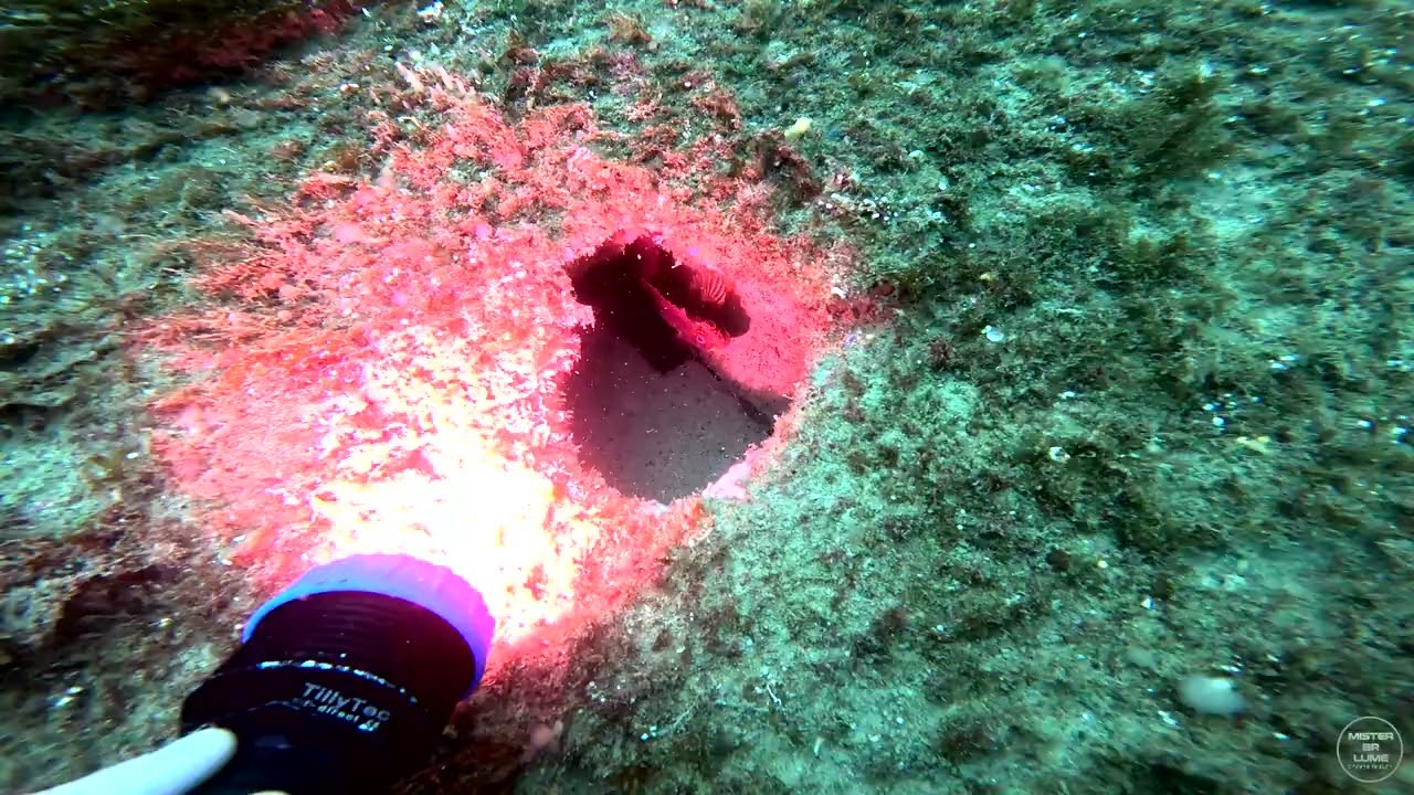 Explo digue sud 23 08 25