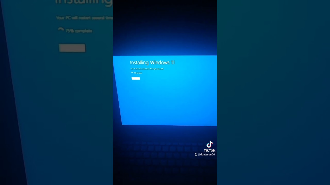 Installing Windows 11 insider preview (Canary Channel) Build 25324 on a Gaming laptop