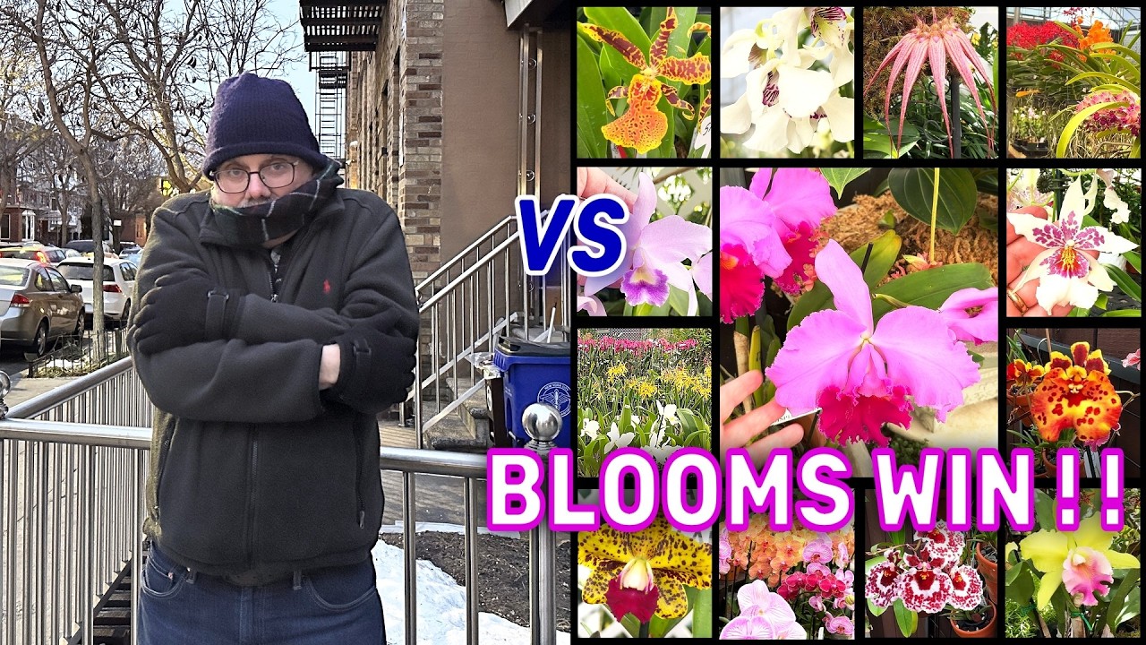 Year-End Florida Orchid Haul, Festival & Sale, Nursey Tour, Tubing & MORE! 