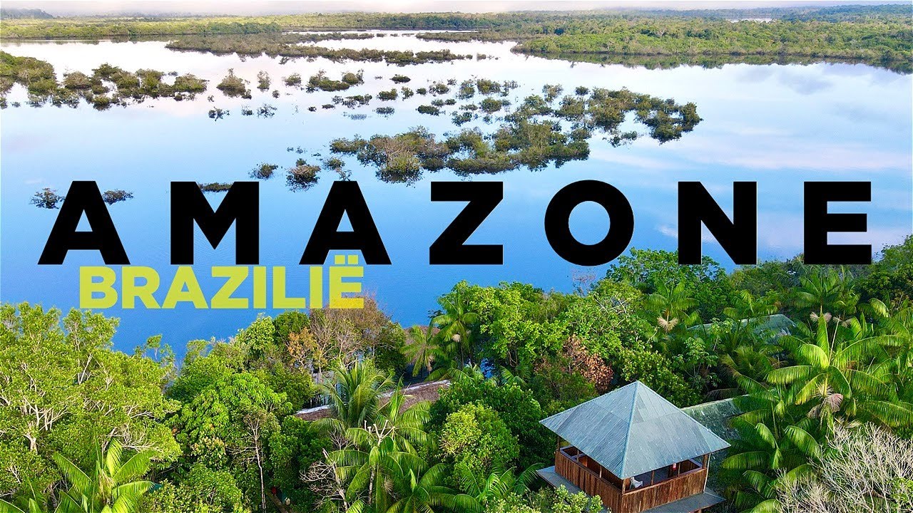 AMAZONE, BRAZILI&Euml;: Piranha's, Apen en DOLFIJNEN in &lsquo;s Werelds Mooiste Jungle