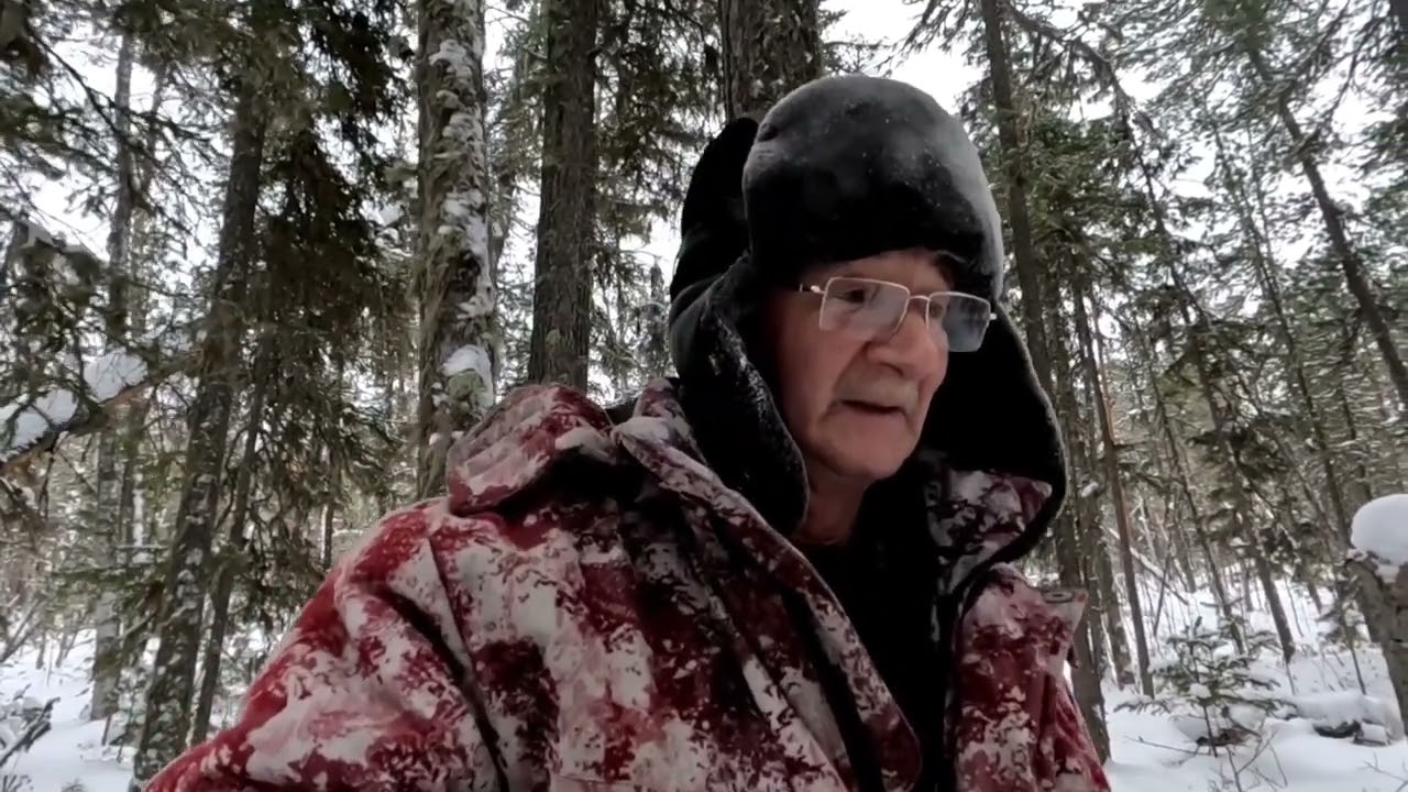 Нашествие россамах. В фотоловушке лоси, россамаха. Ночевал в западной.