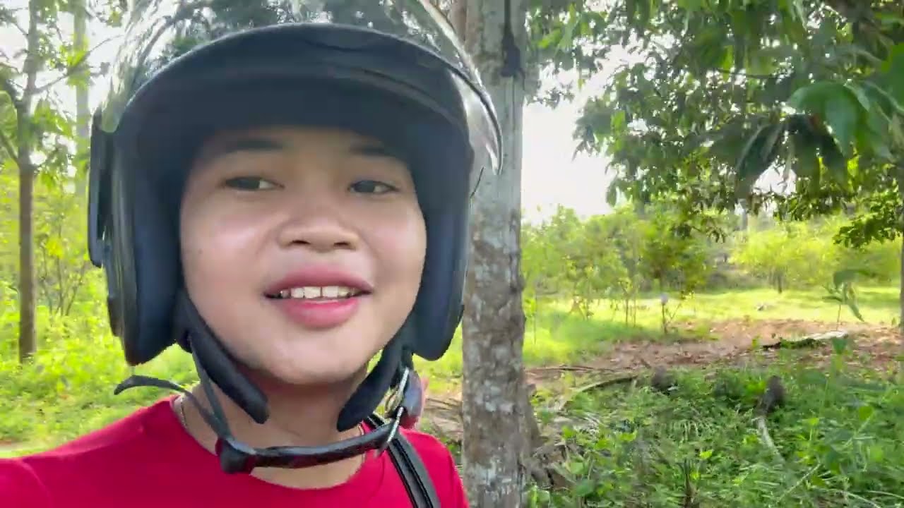 It is time to harvest the chili peppers from the garden once again