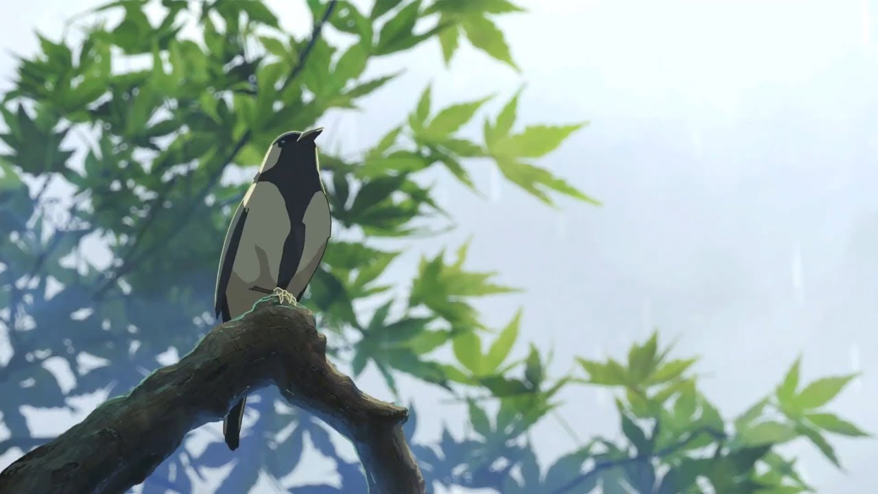 Bird Watching | Lofi HipHop Mix |
