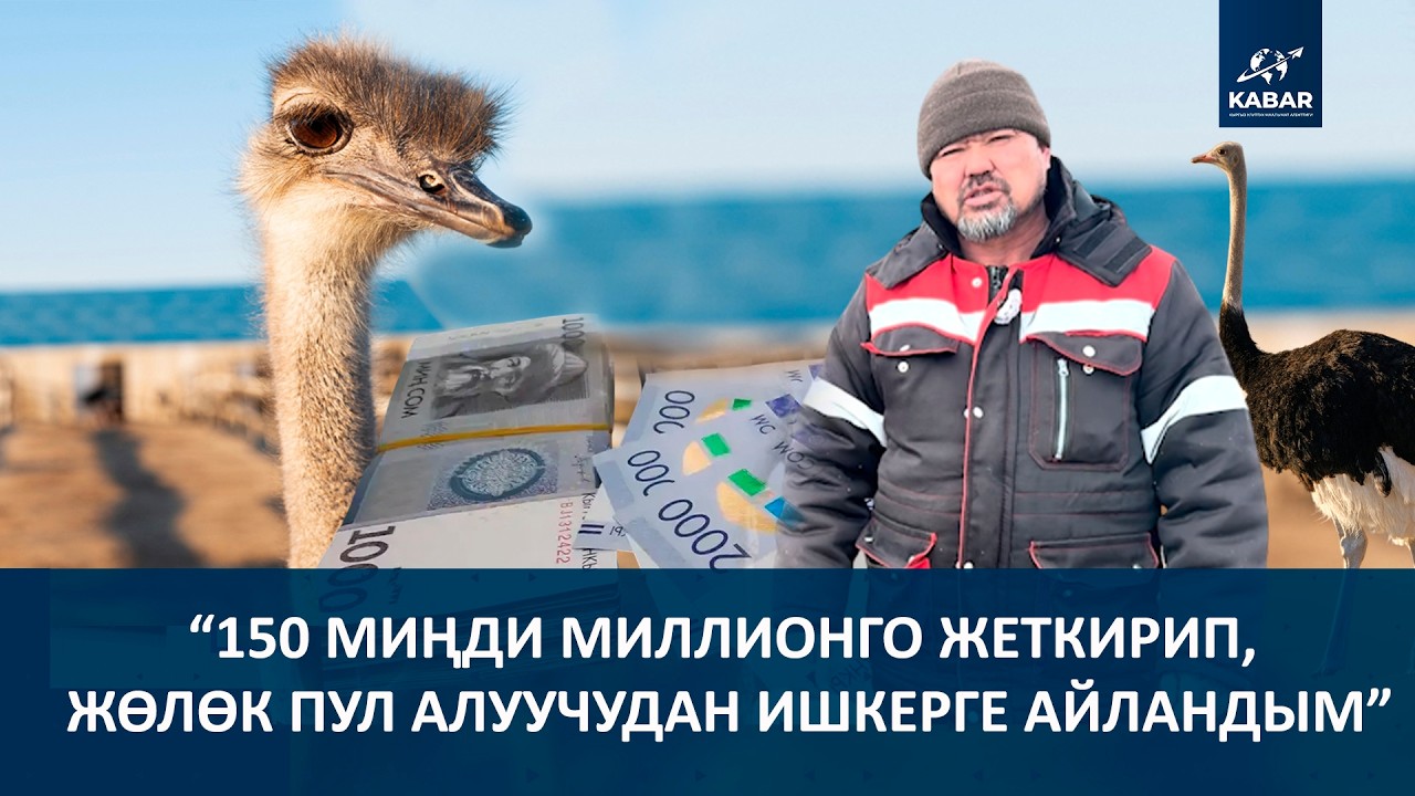 ҮНДҮК, ТООКТОН БАШТАП, ЭМИ ТӨӨ КУШКА ӨТКӨН ФЕРМЕР