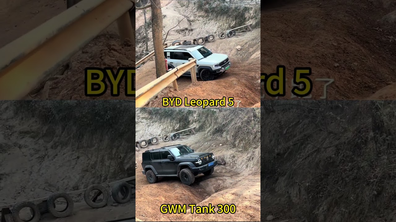 Off-Road: BYD Leopard 5 vs GWM Tank 300! #byd Fang Cheng Bao in 
