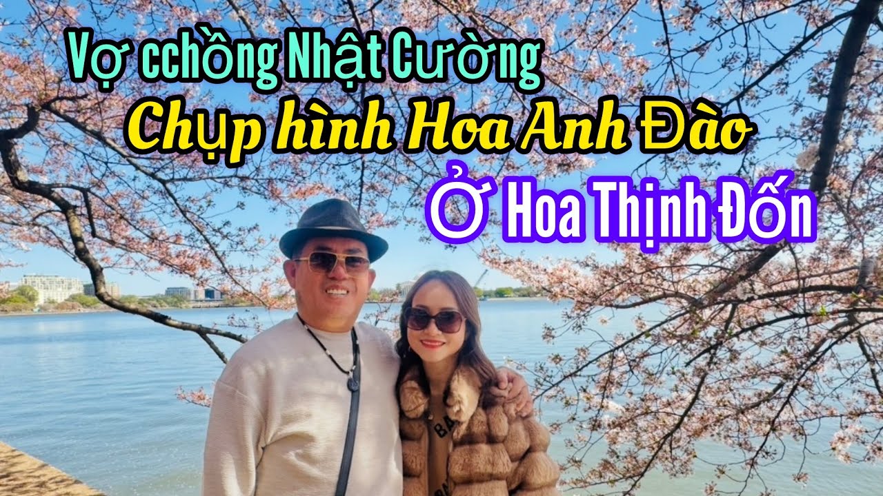 VC Nhật Cường chụp hình Hoa Anh Đào ở Hoa Thịnh Đốn