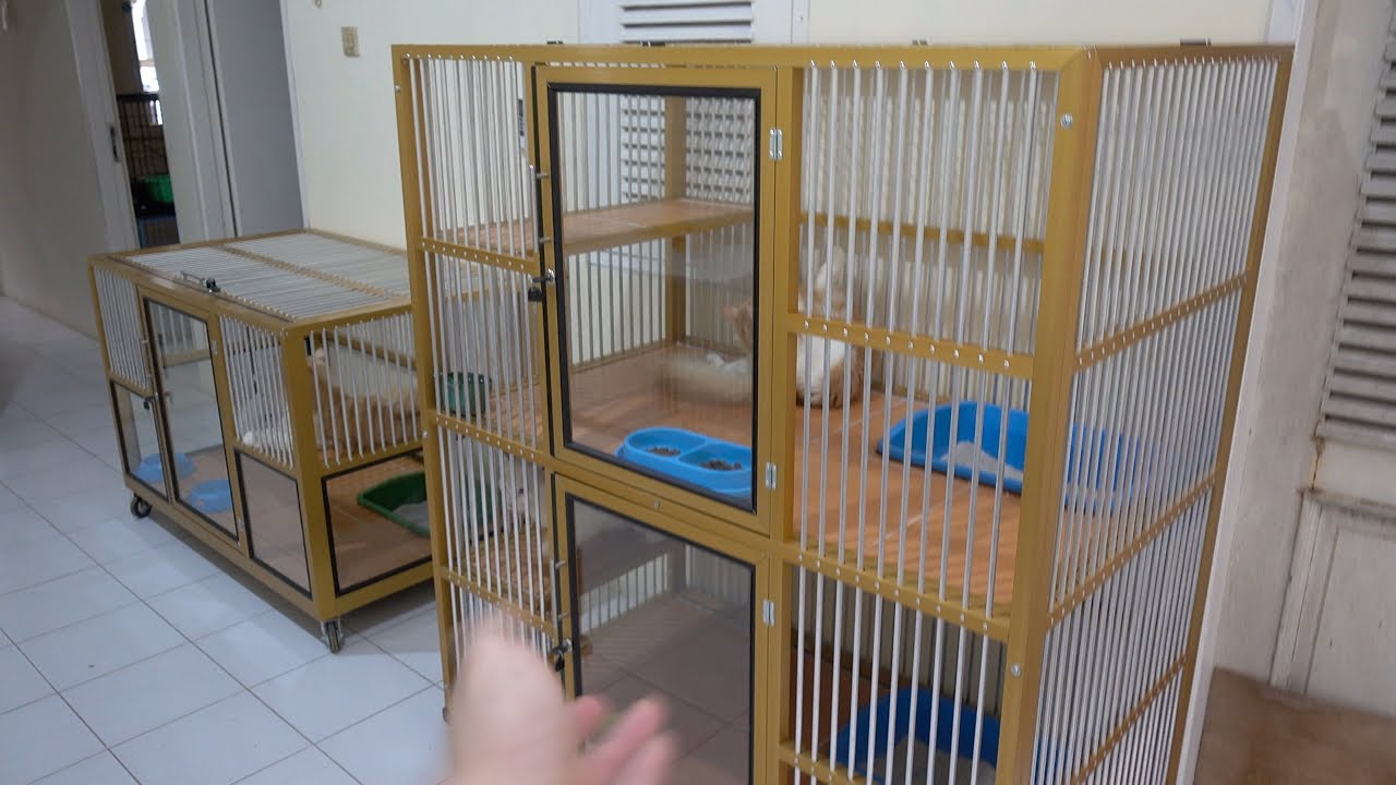 Perbedaan Kandang Aluminium dan Kandang Besi