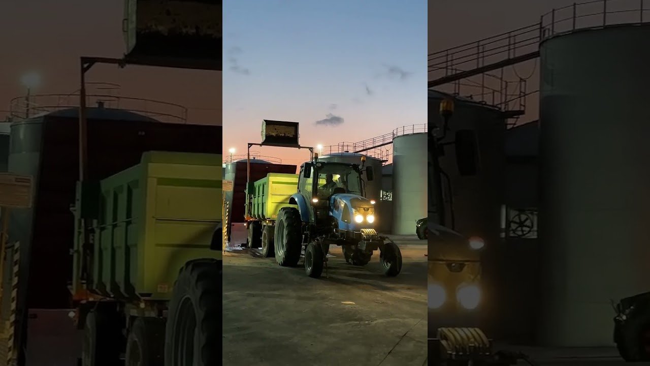 Vendimia 2024 al caer la noche en Bodega Santa Cruz de Alpera y DO Almansa
