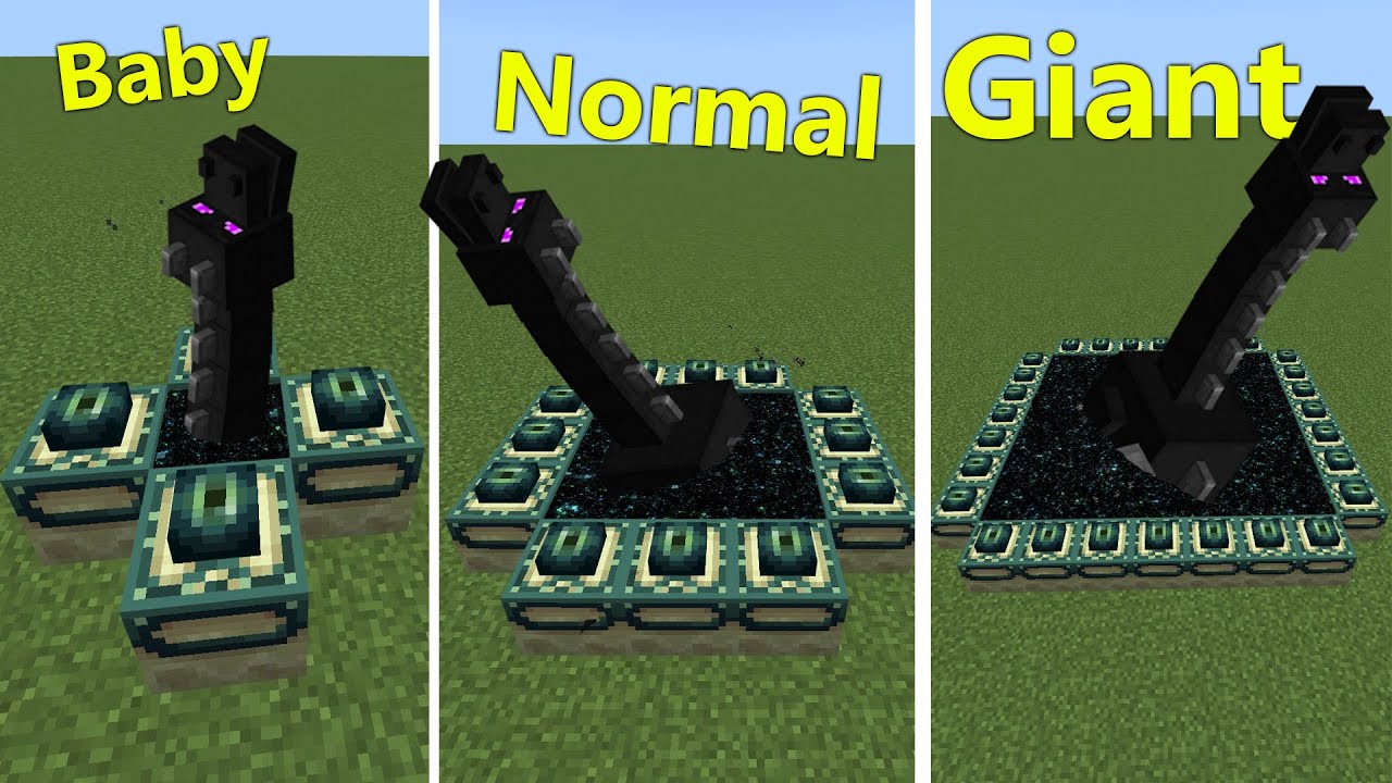I Fought ALL Ender Dragons in Minecraft