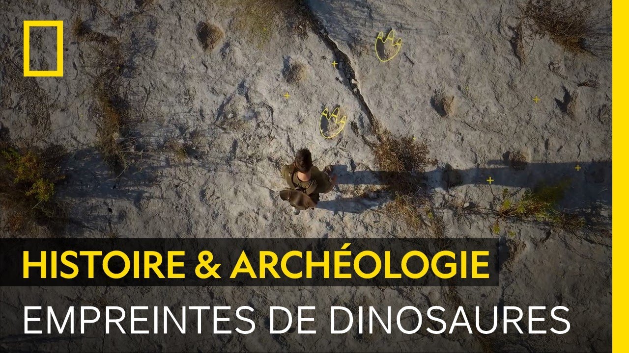 Ces fabuleux sites contiennent des dizaines d'empreintes de dinosaures