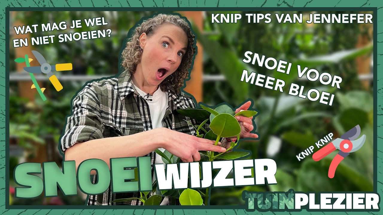 Kamerplanten SNOEIEN! ✂️ Kan dat zomaar?! | Tuinplezier 🪴