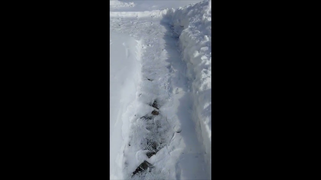 Поездка на дачу. Сажаю редиску - главное не опоздать! 😁