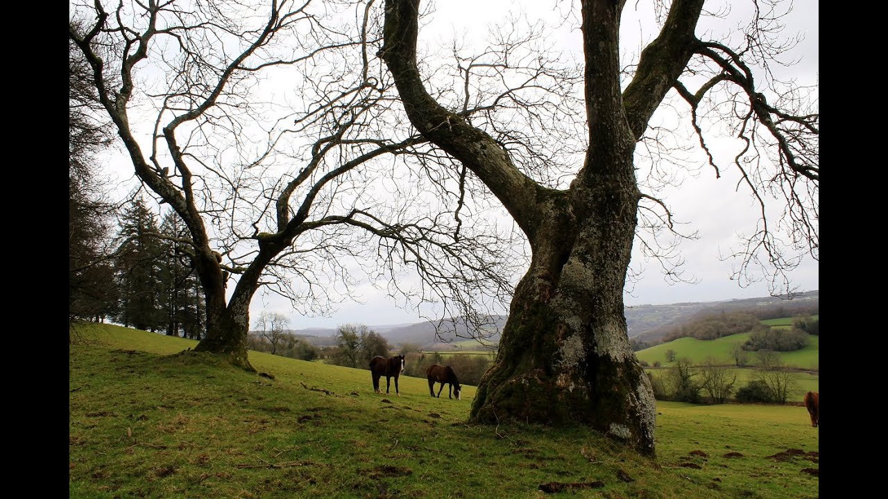 Gaer Hill, near Chepstow, Monmouthshire.