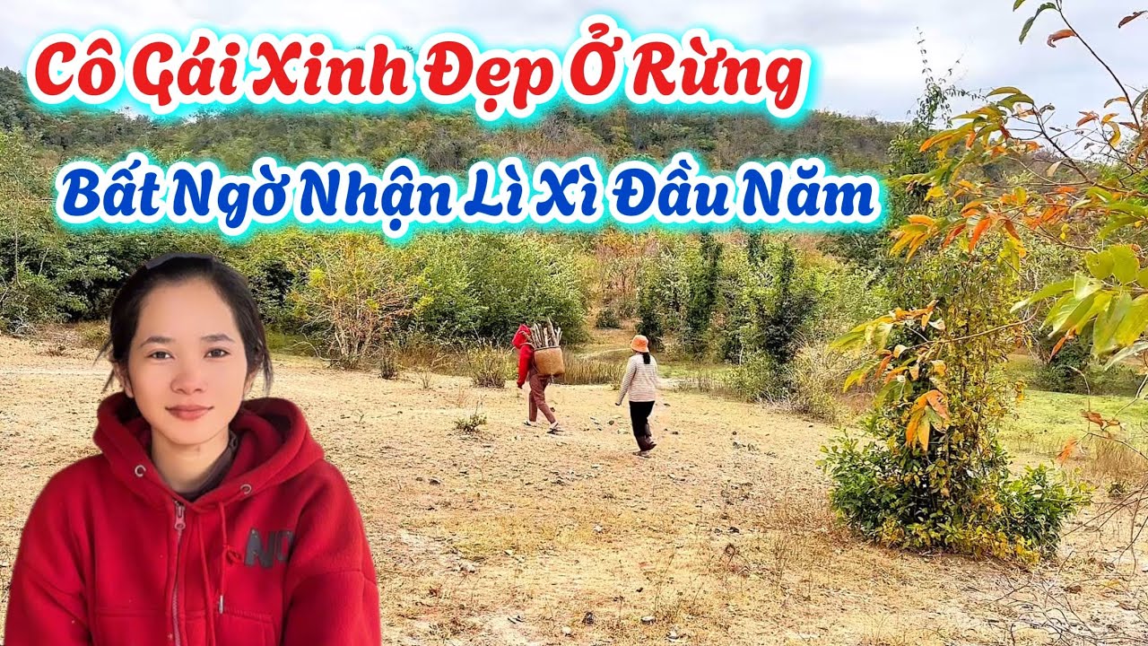 Bất Ngờ. Cô Gái Xinh Đẹp Ở Rừng Là Mẹ Đơn Thân. Nhận Món Quà LÌ XÌ Từ MỸ. | 743
