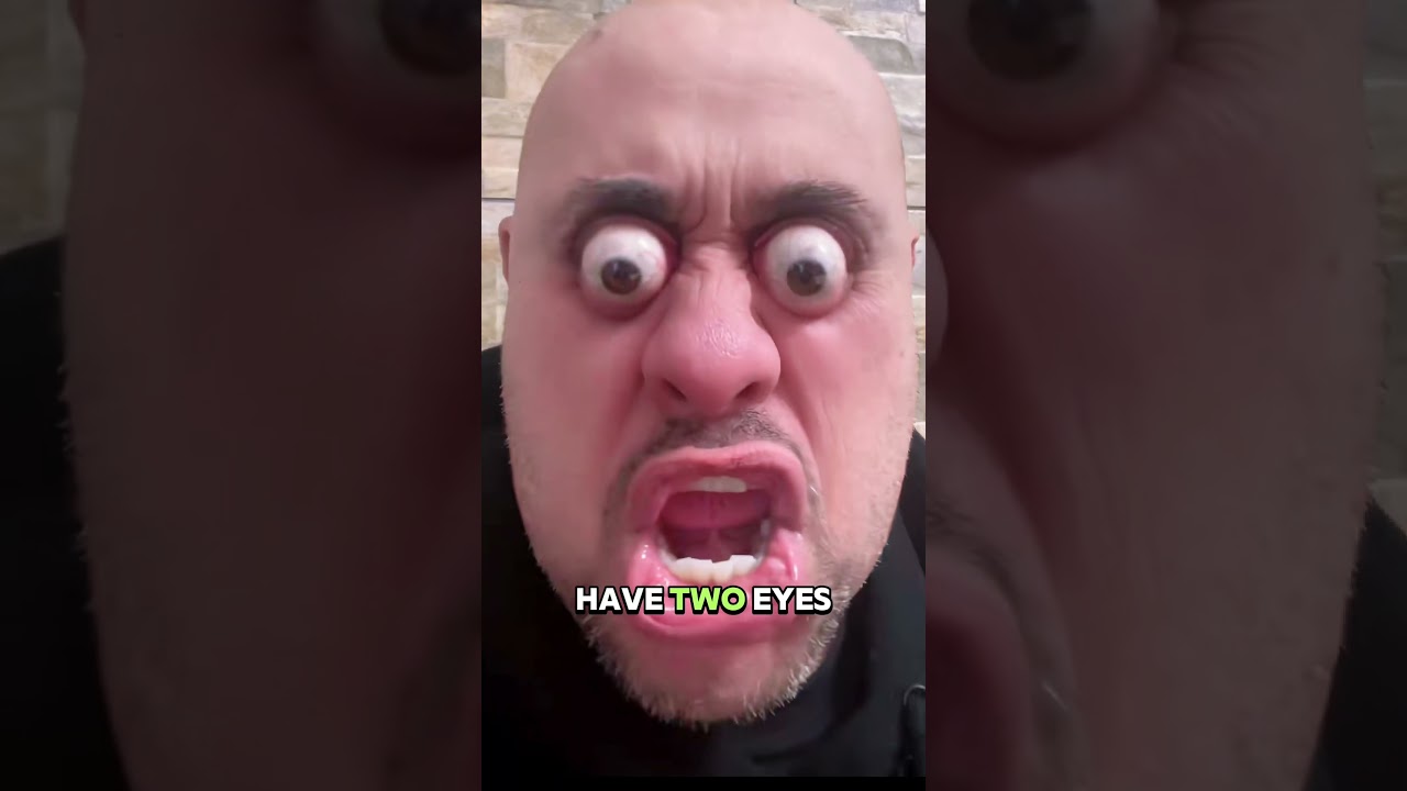 How to Survive a Lion Attack