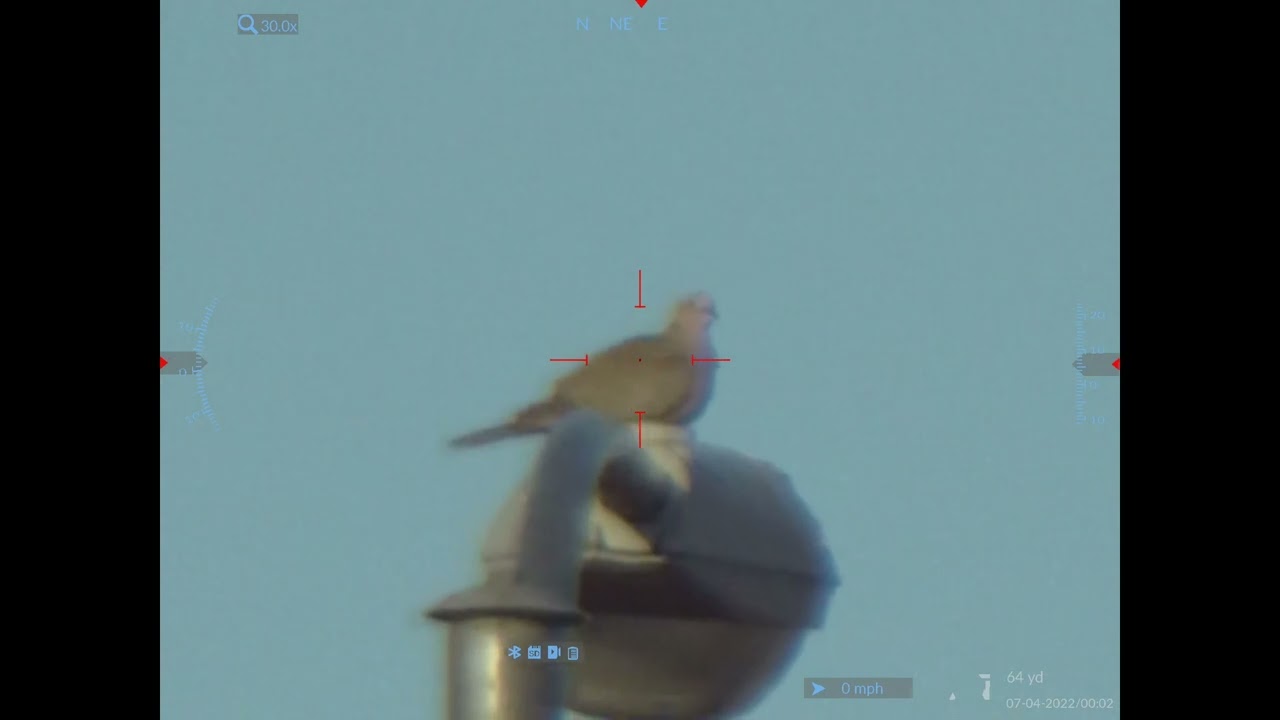 First Glance at ATN X-Sight 5 3-15 LRF Test footage