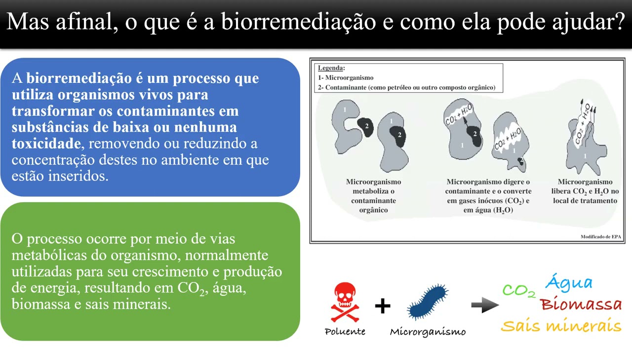 Biotecnologia e meio ambiente: Biorremediação