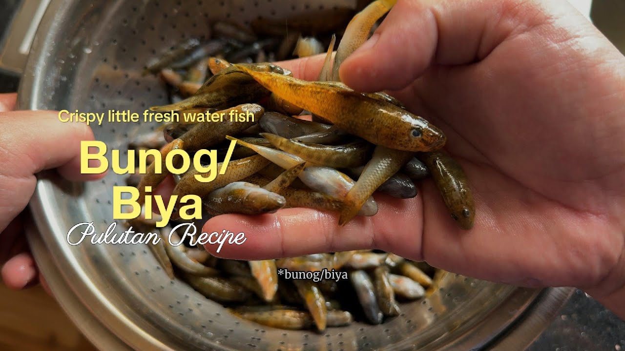 Can’t stop eating this crispy little freshwater fish | deep fried bunog, bukto o biya.