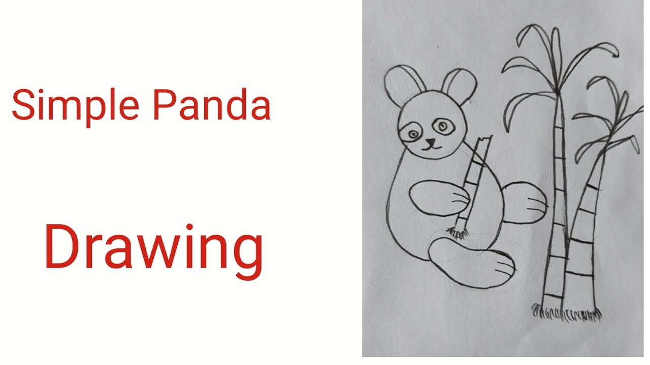 Easy Panda Drawing Step by Step ll 🐼#andadrawing#easydrawing #pandaart#ytubevideo  