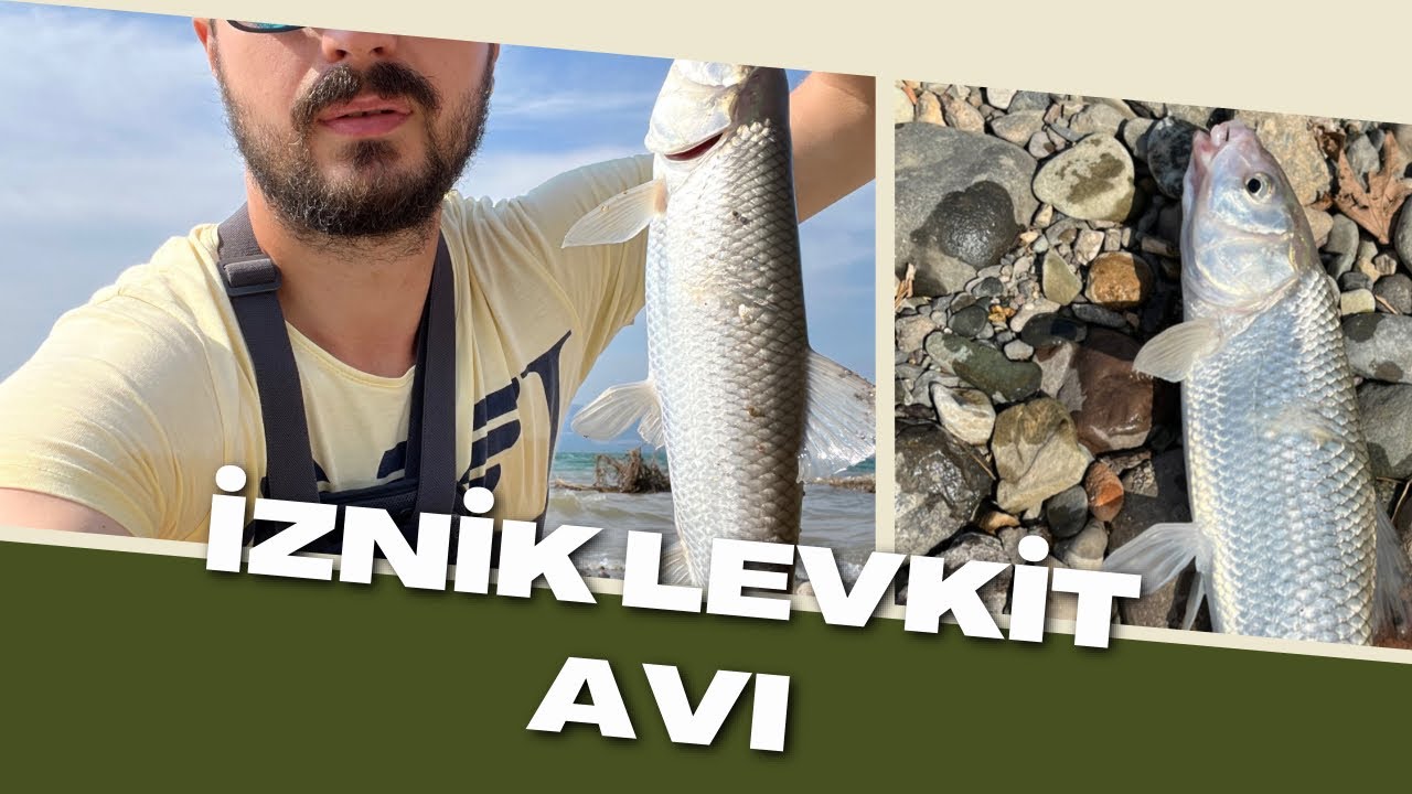 İznik g&ouml;l&uuml; Lrf Levkit - Akbalık Avı / Jigle Levkit Avı / Bursa balık avı #lrf #spin #olta  #balıkavı