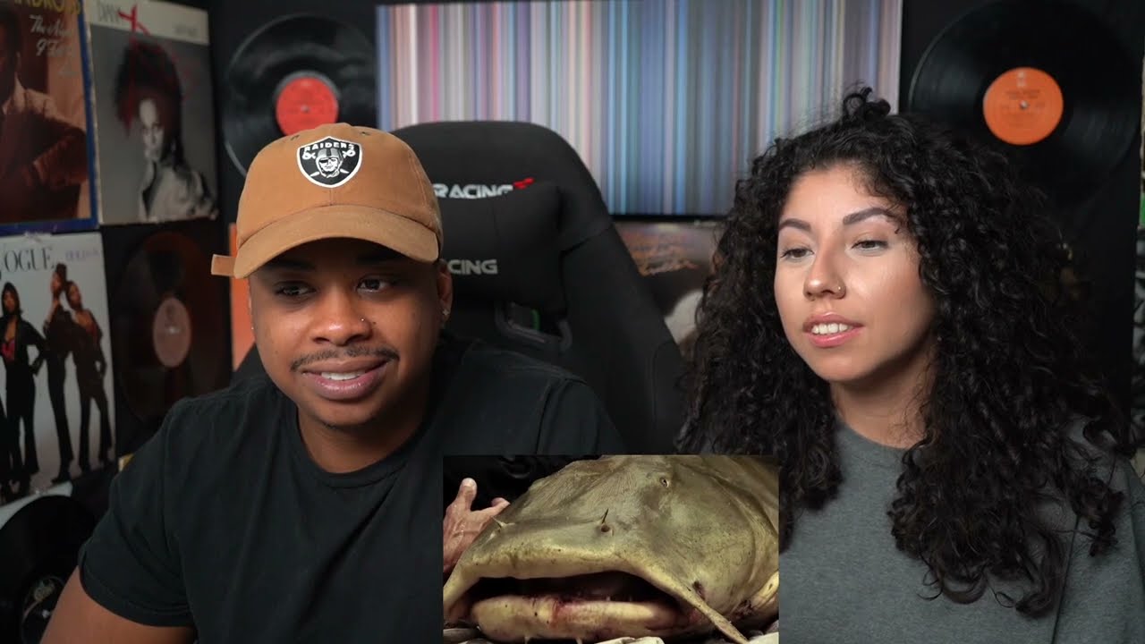 RIVER MONSTERS - THE BIGGEST CATCHES (PART 1) REACTION