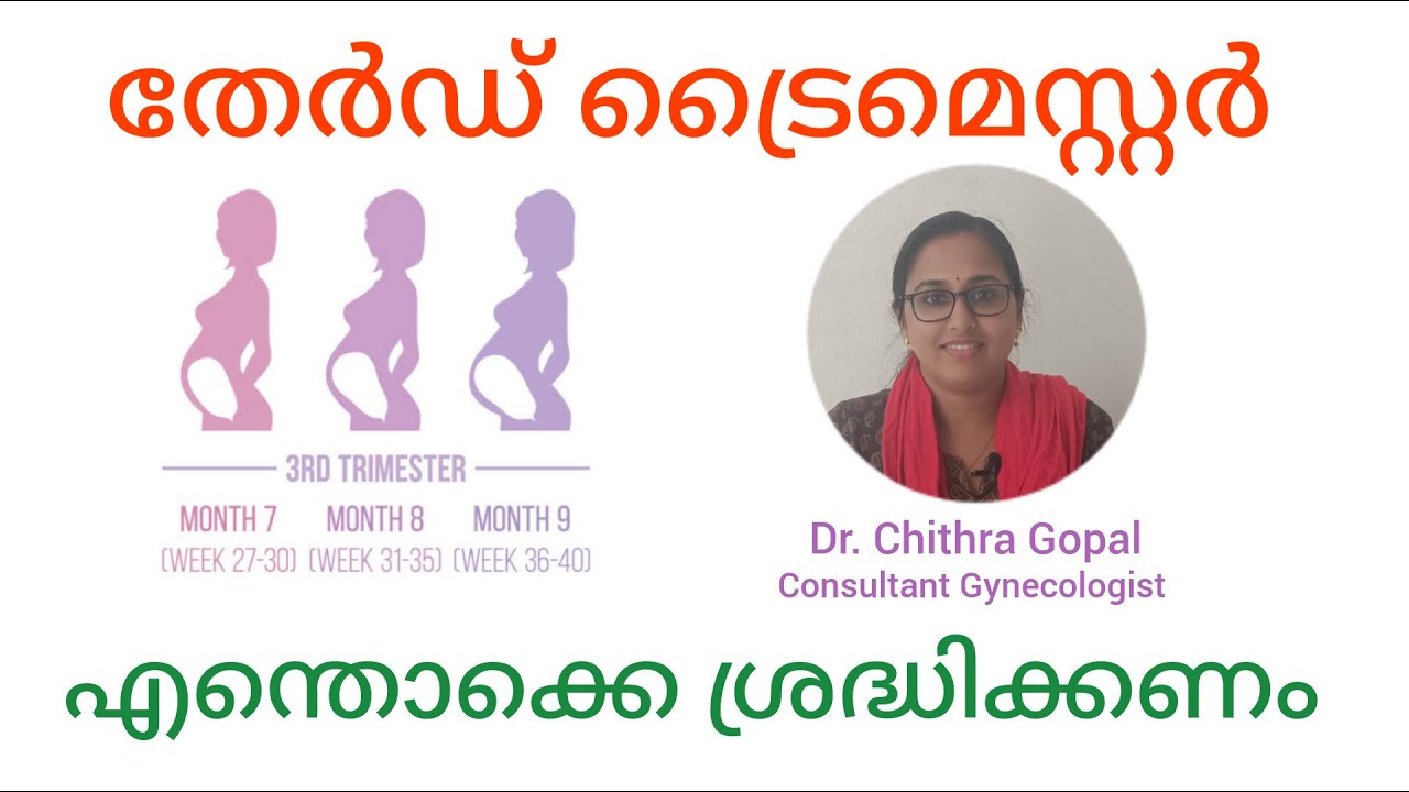 Third trimester pregnancy Malayalam/ 7 to 9 month pregnancy in Malayalam #drchithra