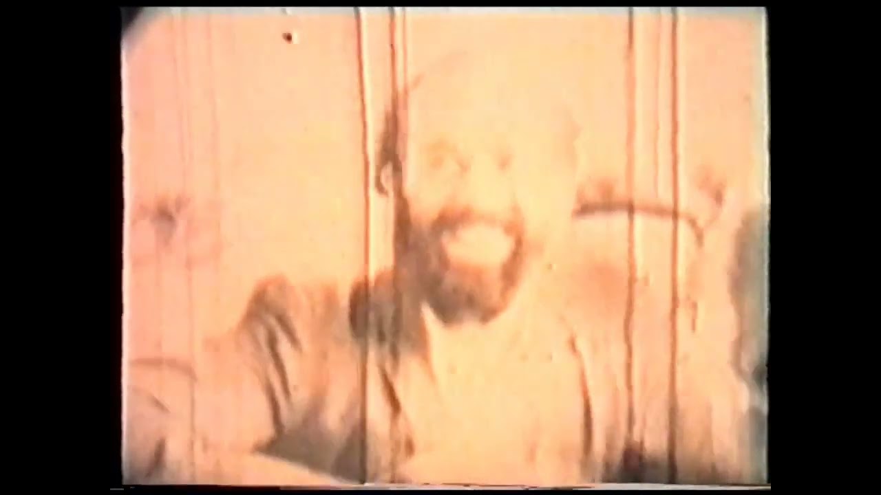 ר' שלמה קרליבך בשוויץ 1959