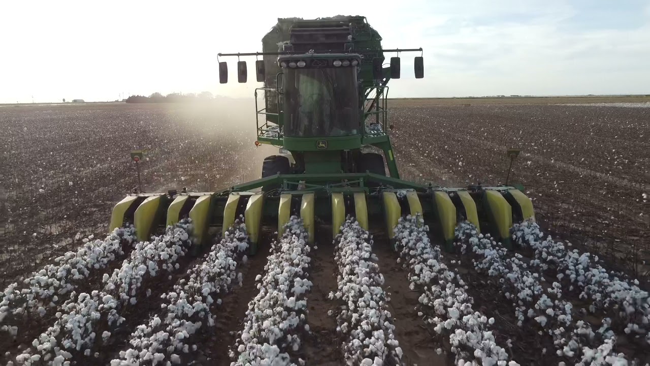 2021 cotton harvest