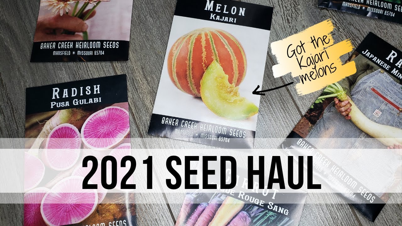 2021 SEED HAUL : I Bought 10 000 seeds AND got some Kajari Melons